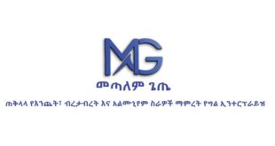 metalem-getie-logo
